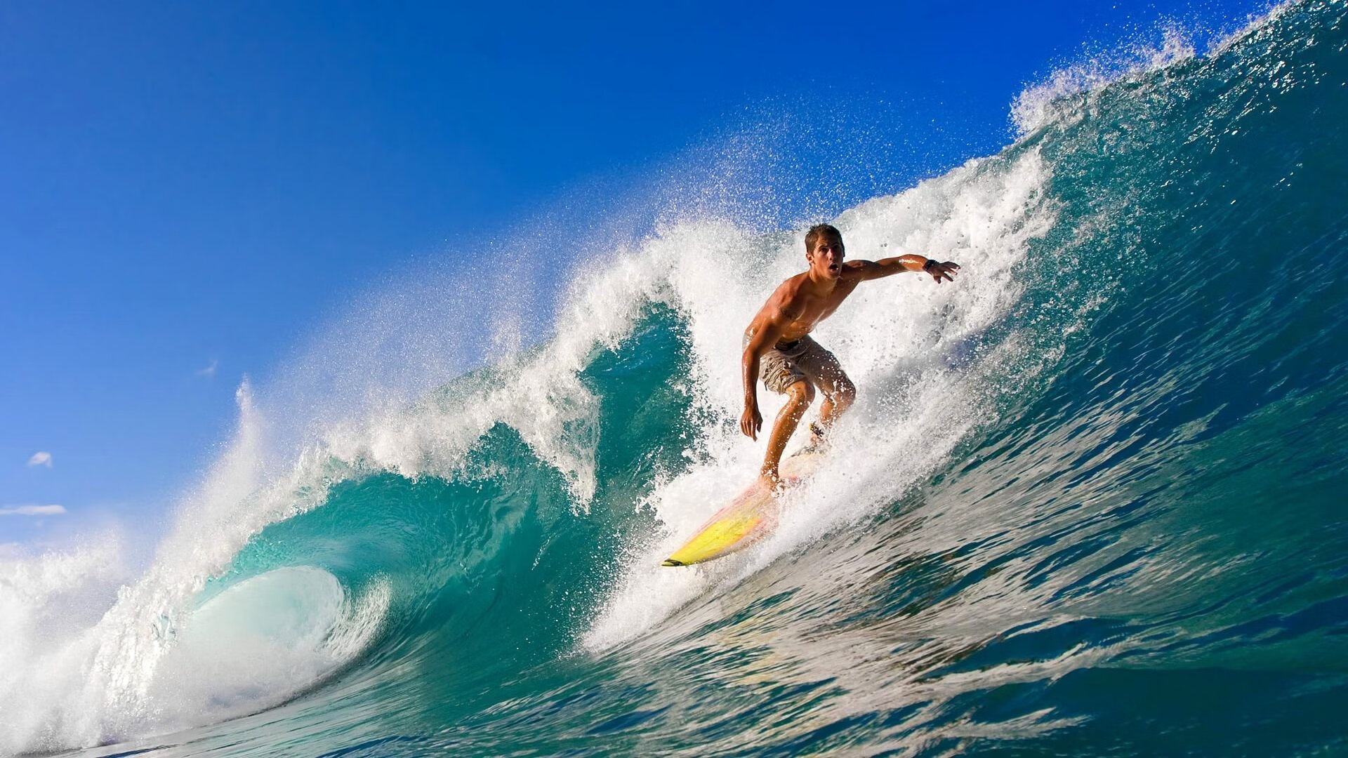 开云体育APP下载-美洲杯的媒体报道互动效果,美洲杯宣传视频